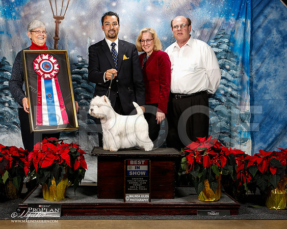 _ST_8397-2-DallasDec2014-HR3