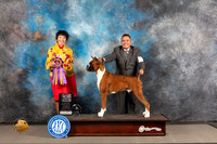 Boxer #23 WED BISS Judge Barbara Alderman
