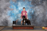 Mastiff Mix #610 Elite Container Title Judge Peter Betchly