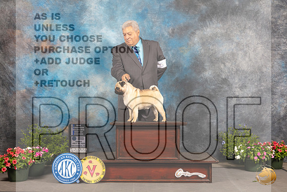 Pug #5 Fri WBBOWCh Judge Allen Odom_MJ_0022_SA_2022_HR3