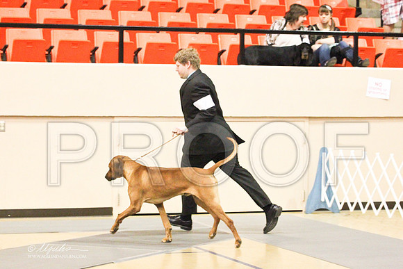 Ridgeback-9212LR