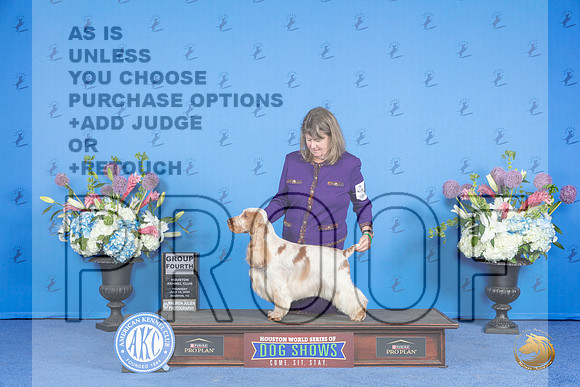 English Cocker Spaniel #17 THUR G4 Judge Nancy Liebes__JP_0817_Houston_2024_HR3