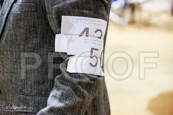 _JN_5544-2-GlenRoseJan2015-HR3