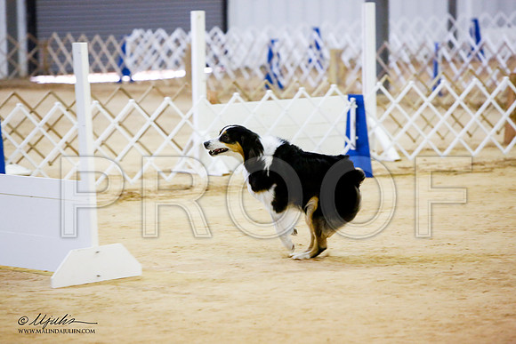 _JN_7408-ASCACollegeStationNov2014-HR3