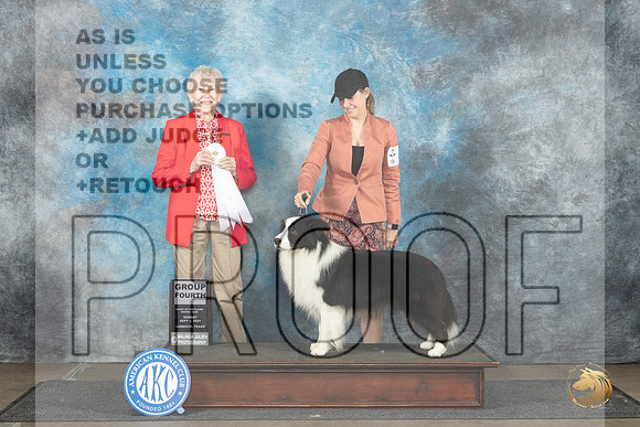 Border Collie #5 Sun G4 Judge Sharon Newcomb__JP_3985_Lubbock_2024_HR3