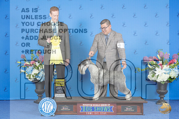 Schnauzer Standard #9 FRI G3 Judge Ronald Freeman__JP_9423_Houston_2024_HR3