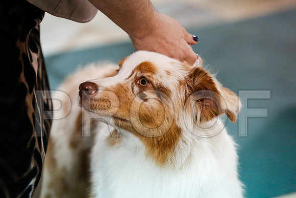 _JJ_7131-ASCACollegeStationNov2014-HR3