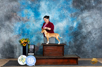 American Hairless Terrier #7 Fri PBOBPG3 Judge Janet Parcel
