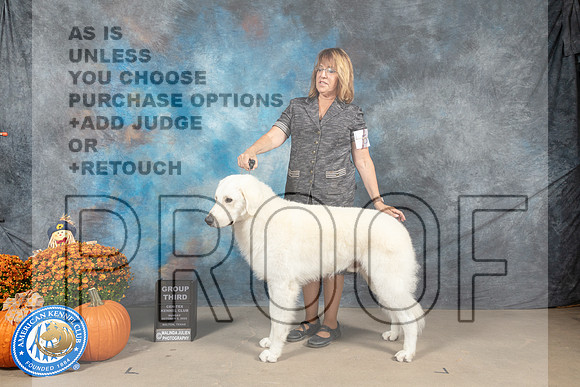 Kusvasz #5 Sun G3 Judge Donnelle Richards_MJ_6811_Belton_2022_HR3