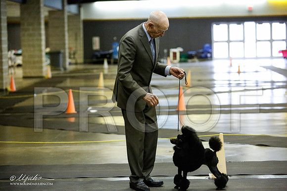 _JJ_5888-BeltonJan2015IABCA-HR3