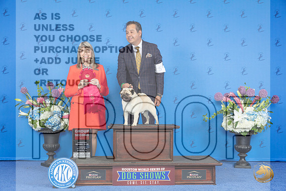 Pug #5 THUR G2 Judge Angela Pickett__JP_8536_Houston_2024_HR3