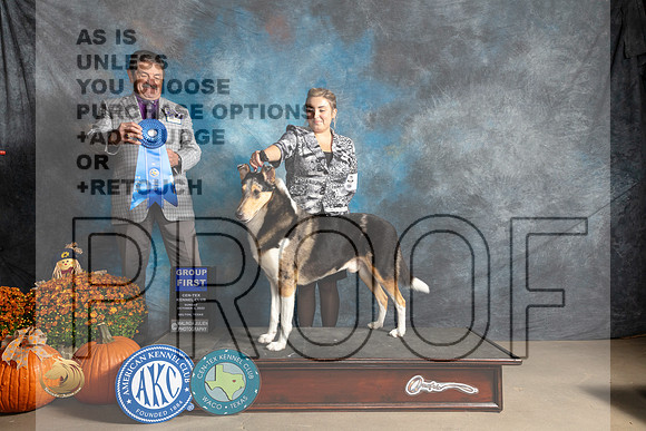 Smooth Collie #7 Sun G1 Judge Lloyd Graser_MJ_6686_Belton_2022_HR3