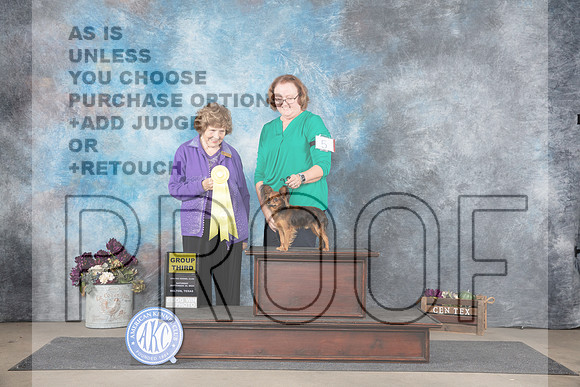 Russian Toy #5 Sat G3 Judge Donelle Richards__JP_7239_Belton_2024_HR3