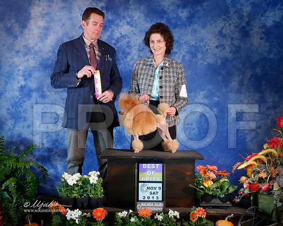 PDMin-4255-HstnNov13-HR