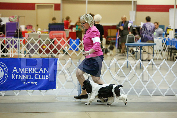 _JJ_2599-AmarilloSept2014-HR3