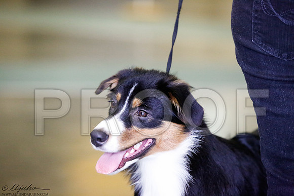 _J3L3601-BeltSep2014-HR