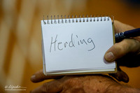 Herding Group Sat Ring