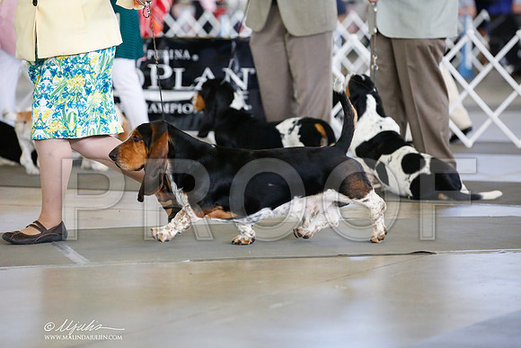 _JJ_3806-DallasJul2014-HR3