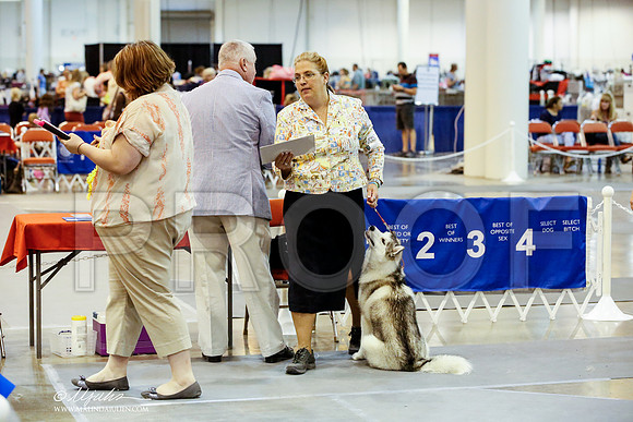 _JJ_4520-HstnJul2014-HR3