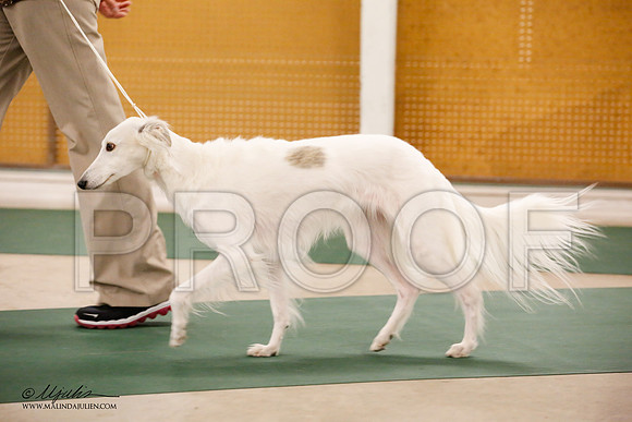 _JN_2013-NrmnNov2014-HR3