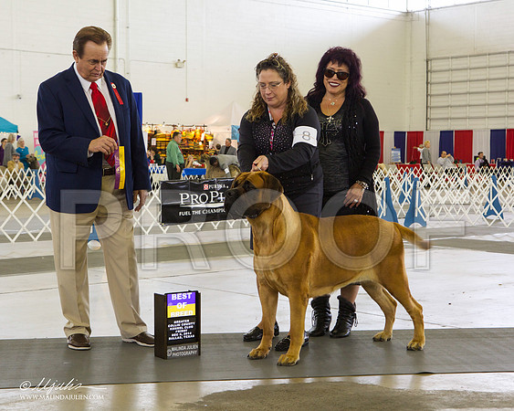 _RH_7858-DallasDec2014-HR3