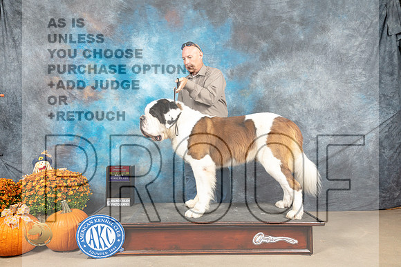 St Bernard #11 Sun BOSCh custom_MJ_6554_Belton_2022_HR3