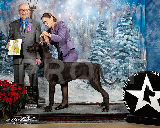 _ST_8468-2-DallasDec2014-HR3