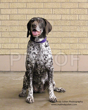 GSP-0165