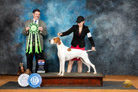 Pointer #5 Sat BIS Judge Jim Fehring
