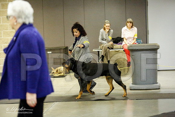 _RH_1757-BeltonJan2015IABCA-HR3