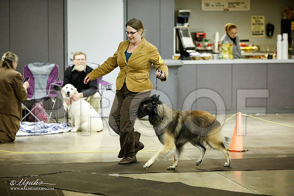 _JJ_6133-BeltonJan2015IABCA-HR3