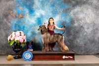 Afghan Hound #10 FRI BOW Major Judge Timothy Catterson