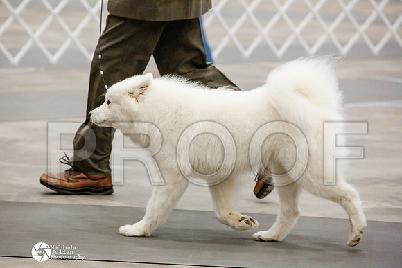 _HR_1499-AblnMay2014-web