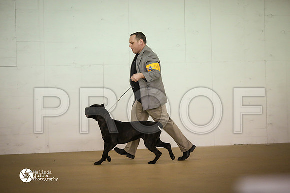 Cane-7404-HtoJan14-HR