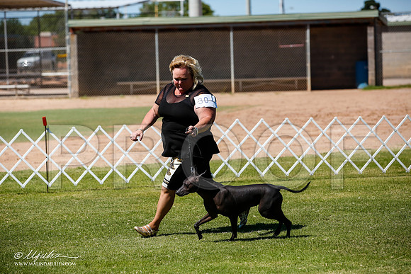 _JJ_8009-AlamogordoOct2014-HR3
