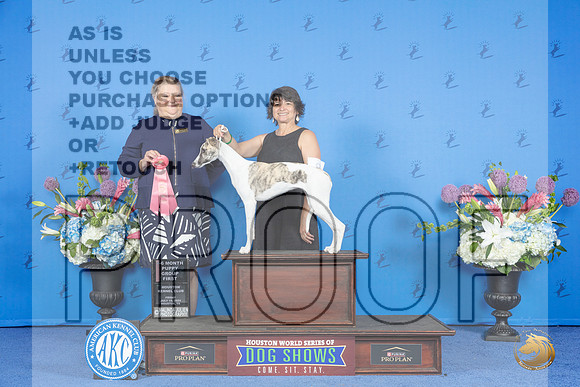 Whippet #8 FRI BP VG1 Judge Terri Jackson__JP_9227_Houston_2024_HR3