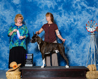 Boxers #15 Sun WD Ford Dustin Keri Paulson Judge Ms Betty Nelson Pollock