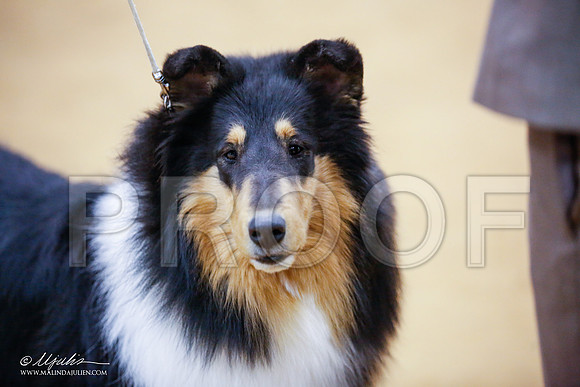 _JJ_6677-GlnRoseJan2015-HR3