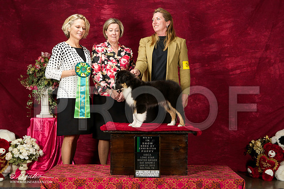_ST_2685-BeltonJan2015IABCA-HR3