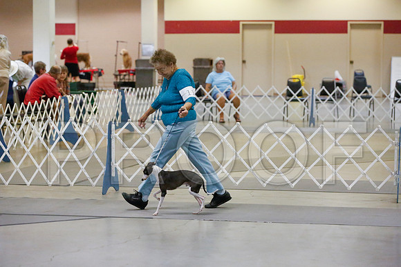 _JJ_0285-AmarilloSept2014-HR3