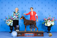 Heidi Milam Houston 2024
