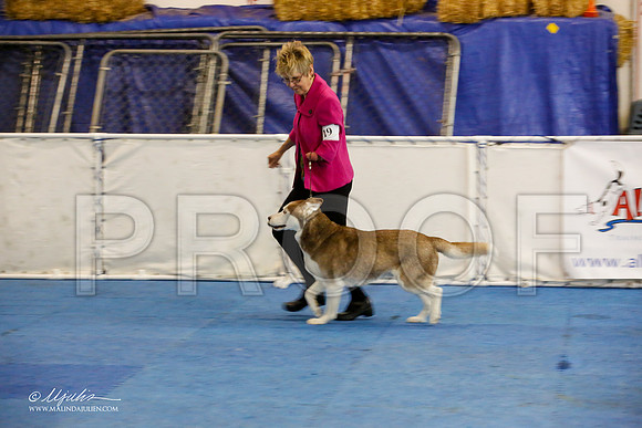 _M3_9105-AddisonHuskyMar2015-HR3