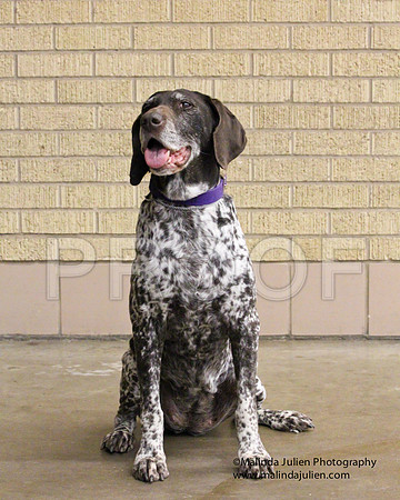 GSP-0161