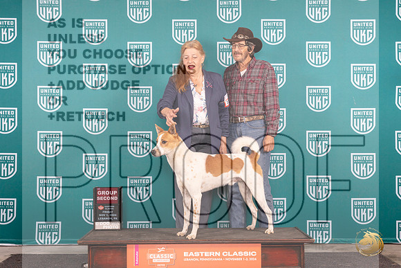 Canaann Dog #115 Fri G2 Judge Kathy Russell __JP_1964_UKCEastern_2024_HR3
