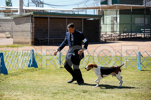 _JN_5201-AlamogordoOct2014-HR3
