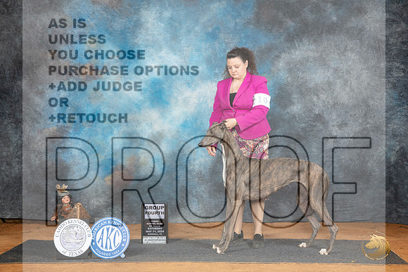 Greyhoud #6 Sat G4 Judge Karen Hynek__JP_8182_MARSHALL_2024_HR3