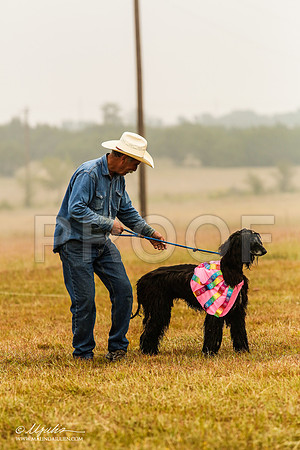_MJ_2878-AfgBeltonOct2014-HR3