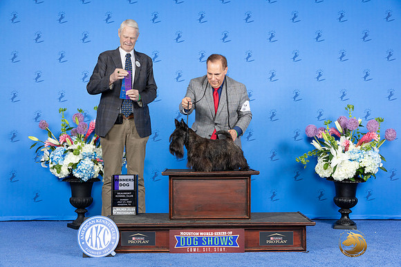 Scottish Terrier #5 SUN WD Judge Jon Cole_JP_0335e_Houston_2024-HR3