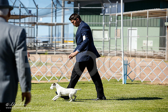 _JN_4428-AlamogordoOct2014-HR3