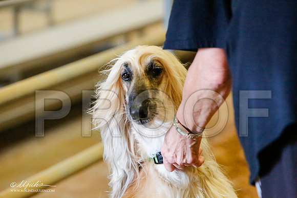 _MJ_2385-AfgBeltonOct2014-HR3